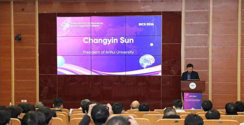 第十四届国际脑启发认知系统会议现场图2